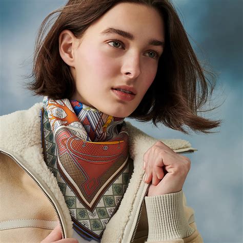 hermes objets de curiosite scarf|Objets de Curiosite scarf 90 .